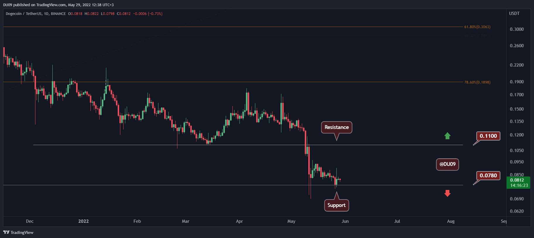 Despite Elon Musk's Recent Tweets, DOGE At Critical Support