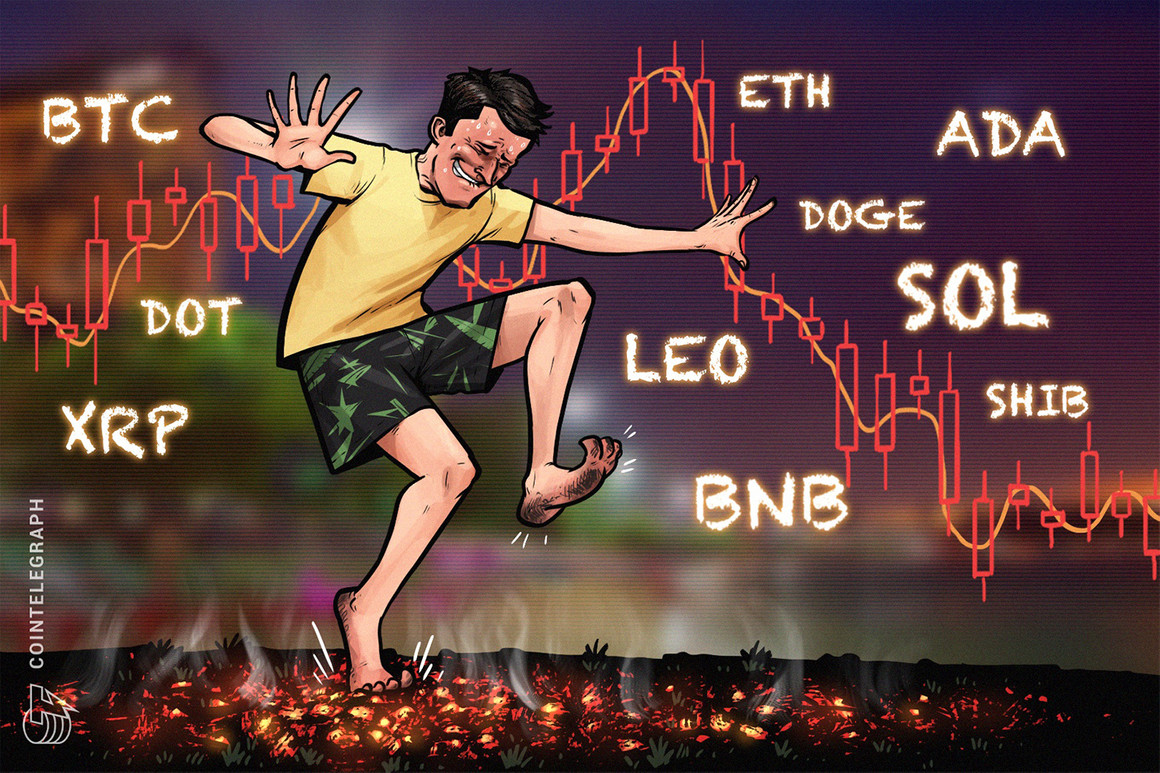 BTC, ETH, BNB, ADA, XRP, SOL, DOGE, DOT, LEO, SHIB