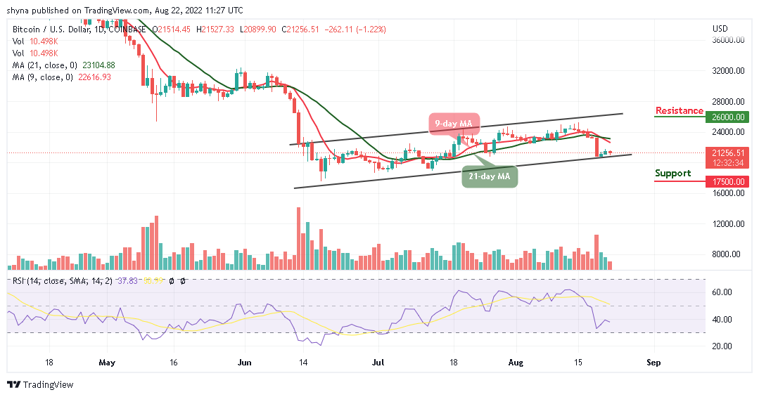 BTC Plummets Under $21,500 as Tamadoge Goes Bullish