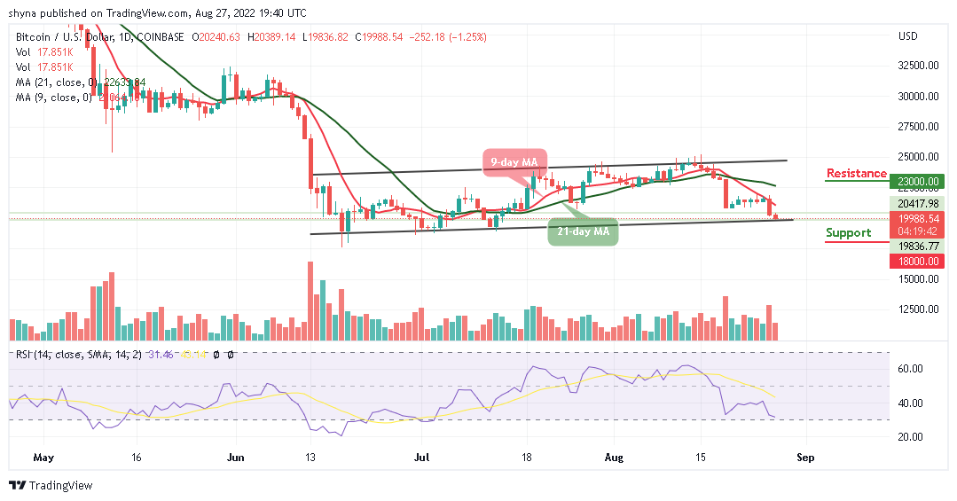 BTC Slumps Below $20,000; TAMA Pushes Up